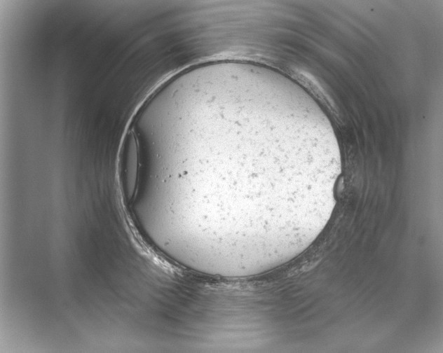 X0000072550900200608111836