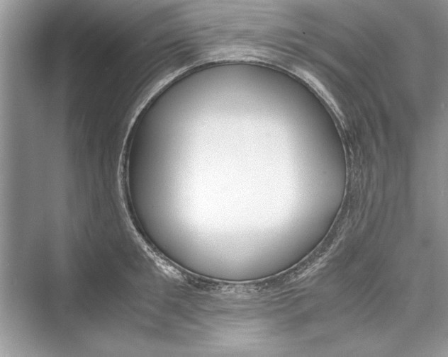 X0000072550901200608111836