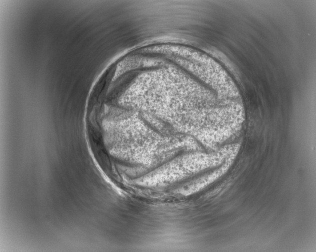 X0000072550902200608111836