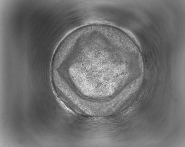 X0000072550903200608111836