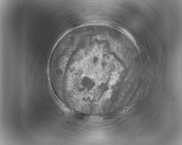 X0000072550907200608111836