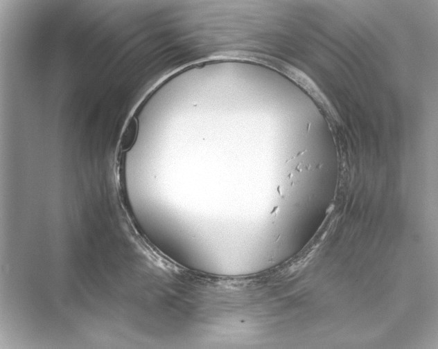 X0000072550908200608111835