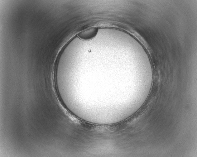 X0000072550909200608111835