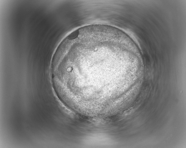 X0000072550911200608111835