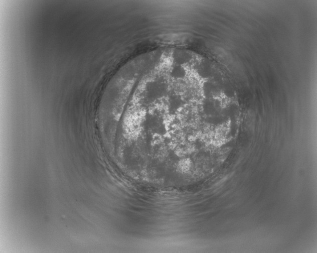 X0000072550913200608111835