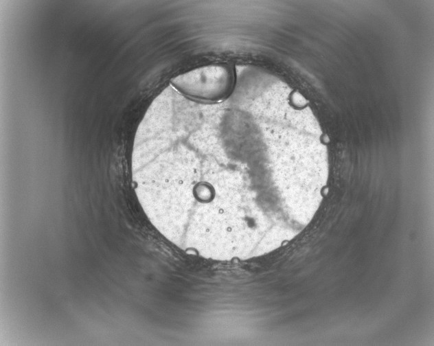 X0000072550918200608111835