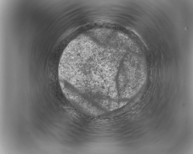 X0000072550919200608111835