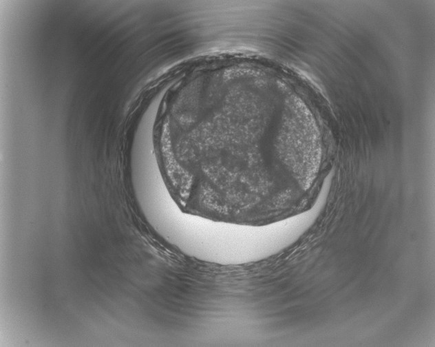 X0000072550920200608111835