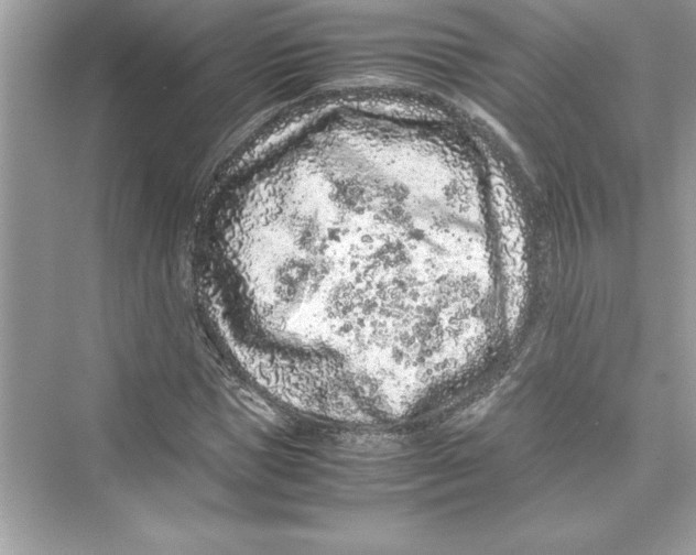 X0000072550921200608111835