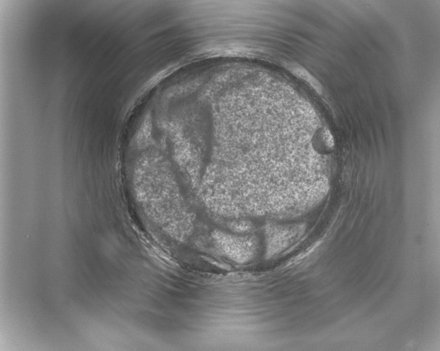 X0000072550922200608111835