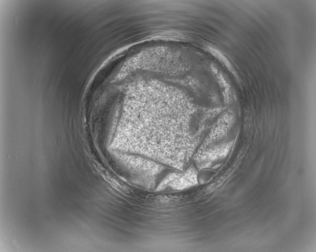 X0000072550923200608111835