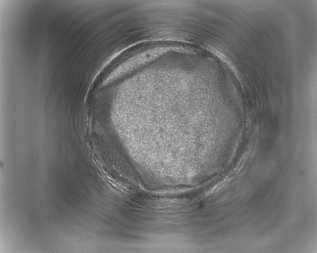 X0000072550925200608111835