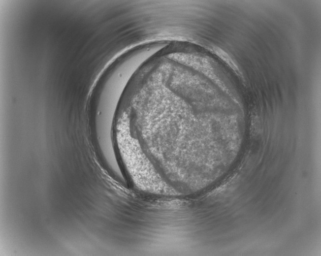 X0000072550926200608111835