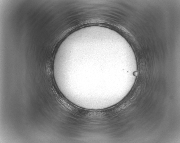 X0000072550929200608111835