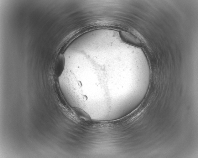 X0000072550930200608111835