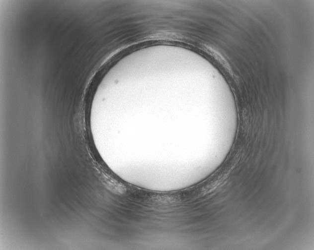 X0000072550931200608111835