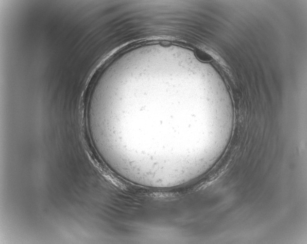 X0000072550933200608111835