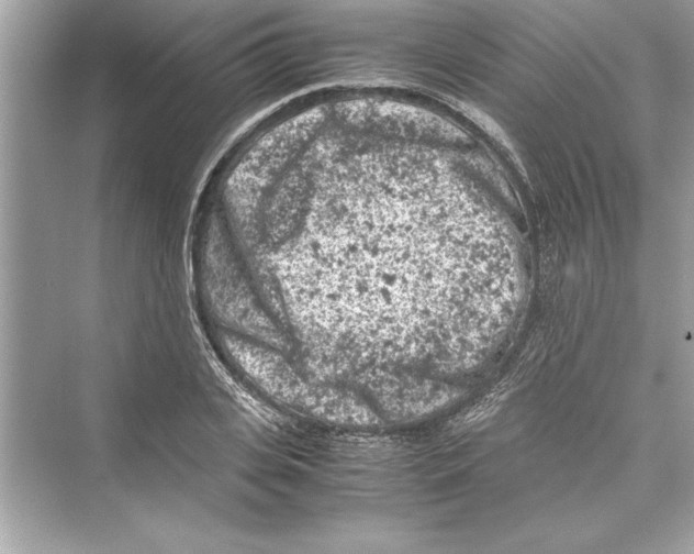 X0000072550935200608111835