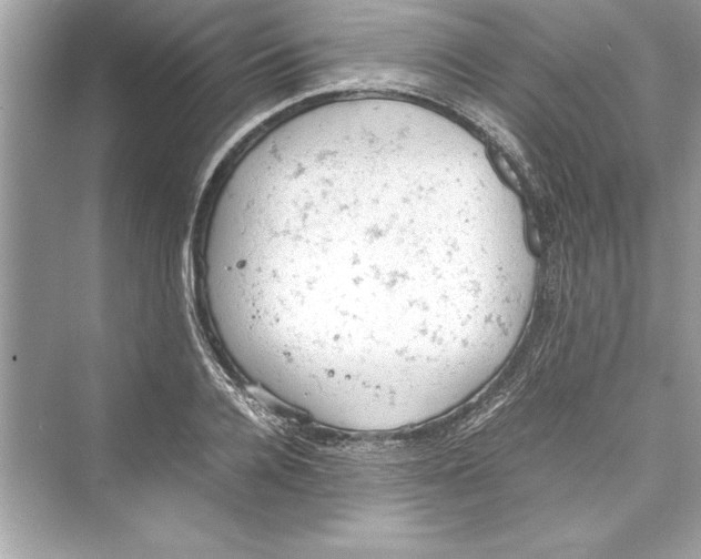 X0000072550936200608111835