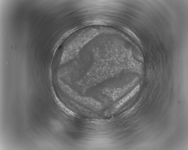 X0000072550938200608111835