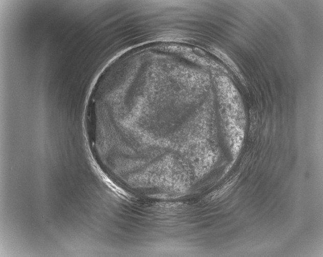 X0000072550939200608111835