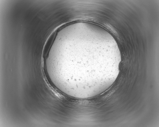 X0000072550940200608111835