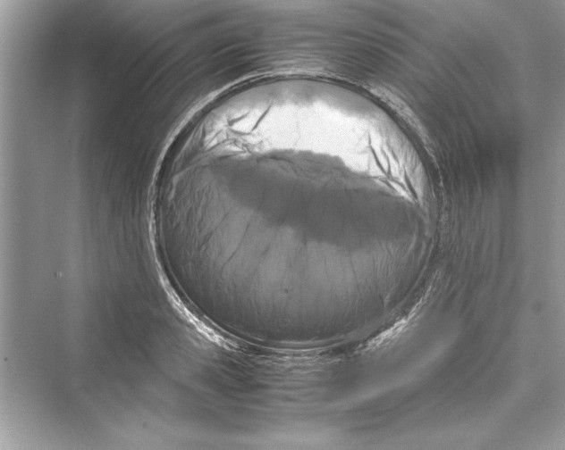 X0000072550941200608111835