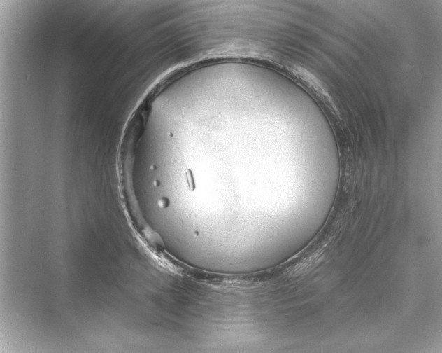 X0000072550942200608111835