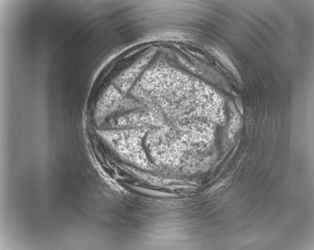 X0000072550944200608111835