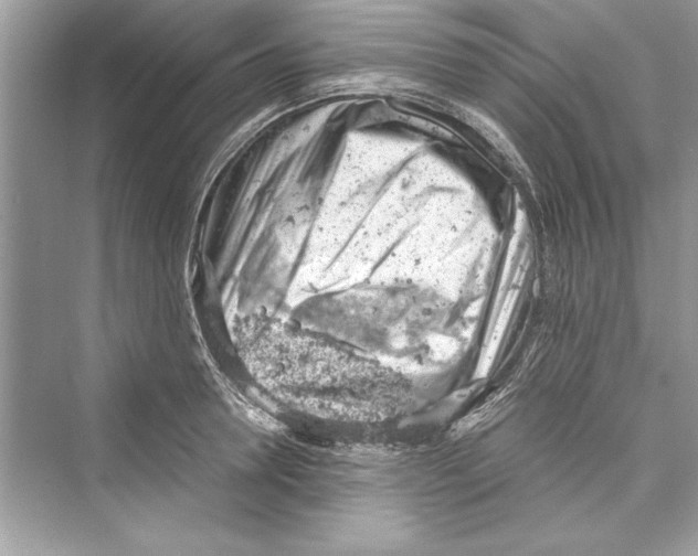 X0000072550946200608111835