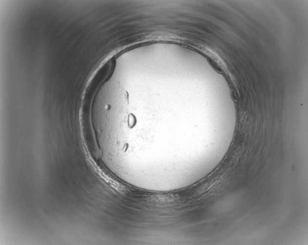 X0000072550947200608111835