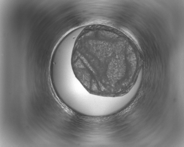 X0000072550948200608111835