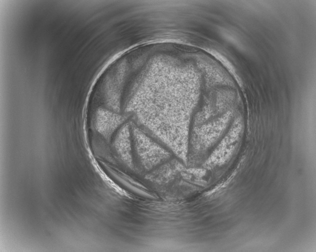 X0000072550949200608111835