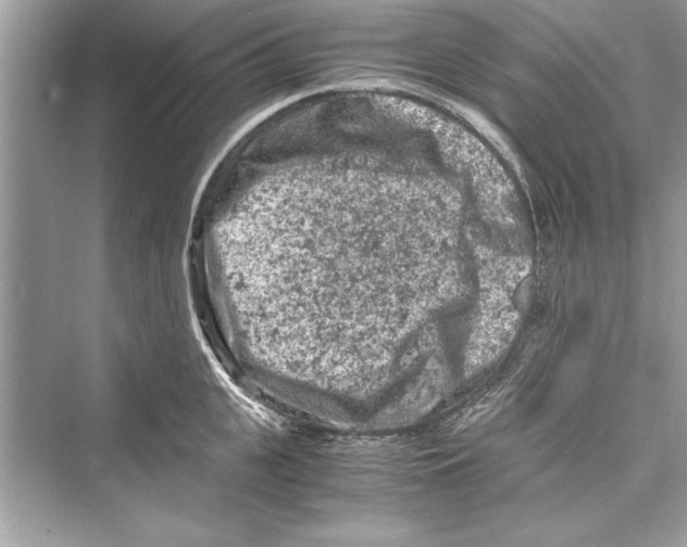 X0000072550951200608111835