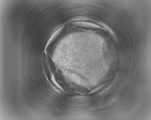 X0000072550953200608111835