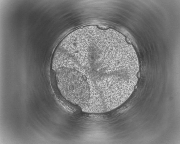 X0000072550954200608111835