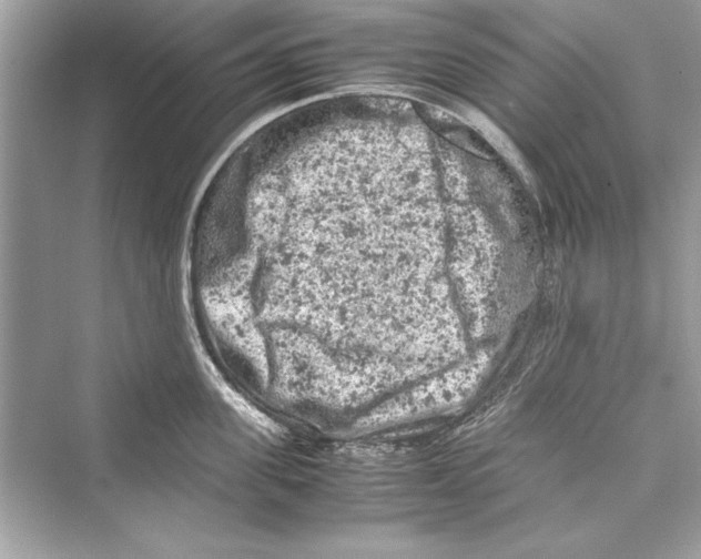 X0000072550955200608111835