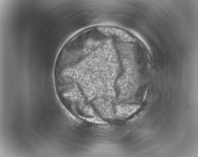 X0000072550959200608111835