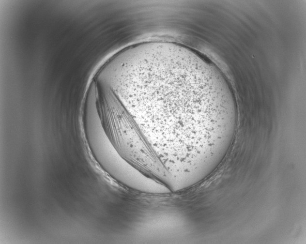 X0000072550960200608111835