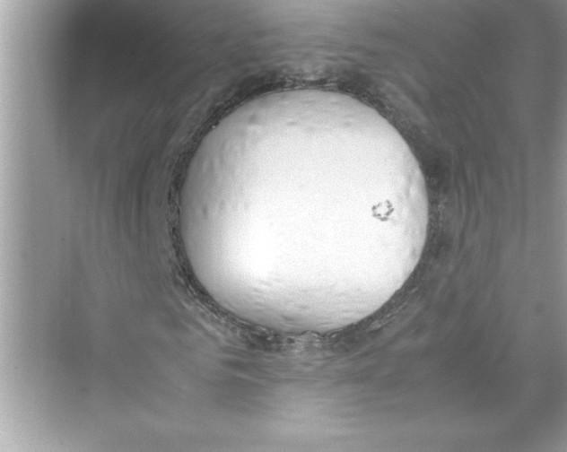 X0000072550961200608111835