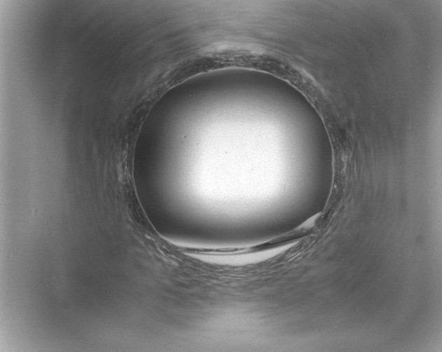 X0000072550965200608111835