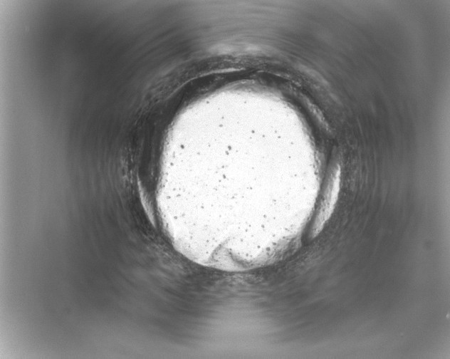 X0000072550966200608111834