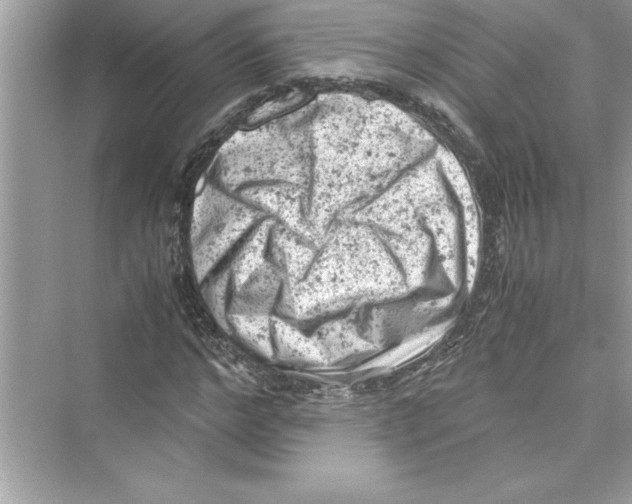 X0000072550968200608111834