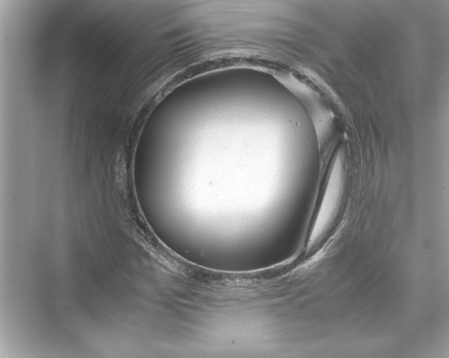 X0000072550969200608111834