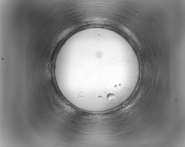 X0000072550970200608111834