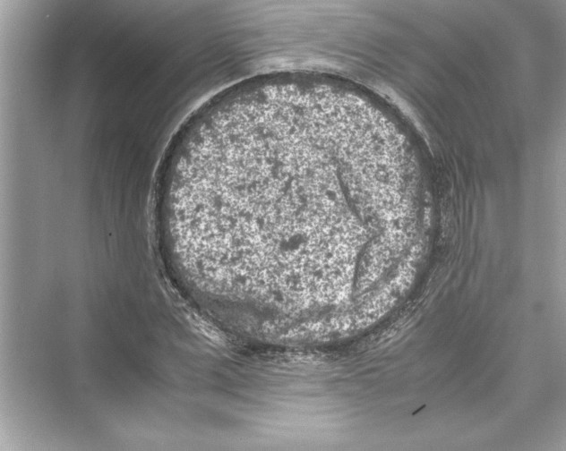 X0000072550975200608111834