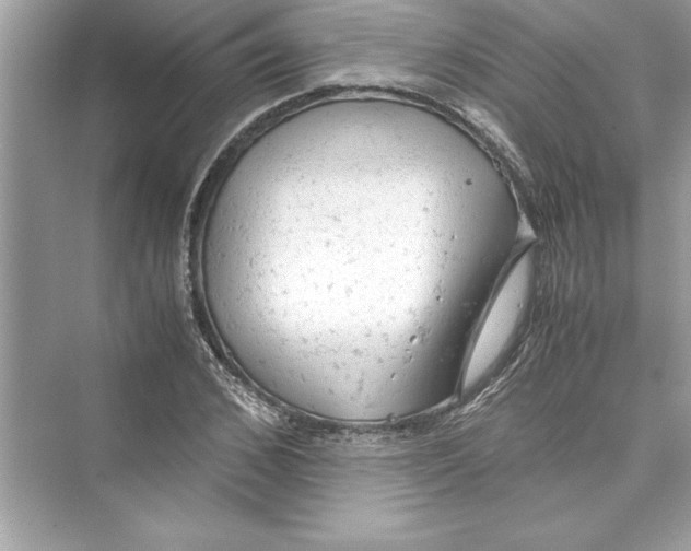 X0000072550976200608111834