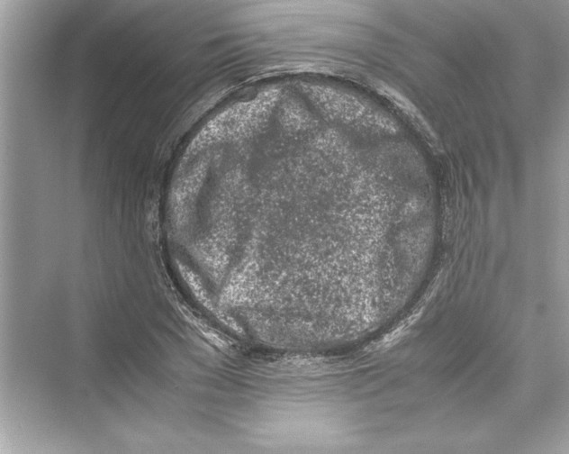 X0000072550977200608111834