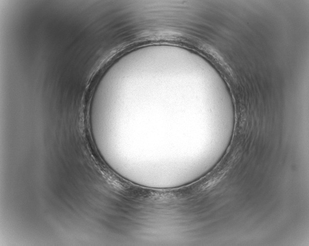 X0000072550978200608111834