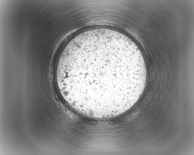 X0000072550979200608111834